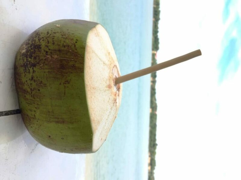 Kit Pailles Bambou zero déchet - Collection Cambodge - Individuel