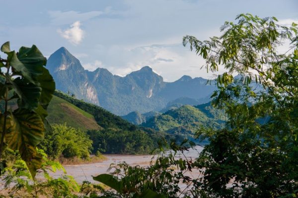 Nouvelle collection - Tissus traditionnels