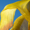 yellow handmade organza silk scarf